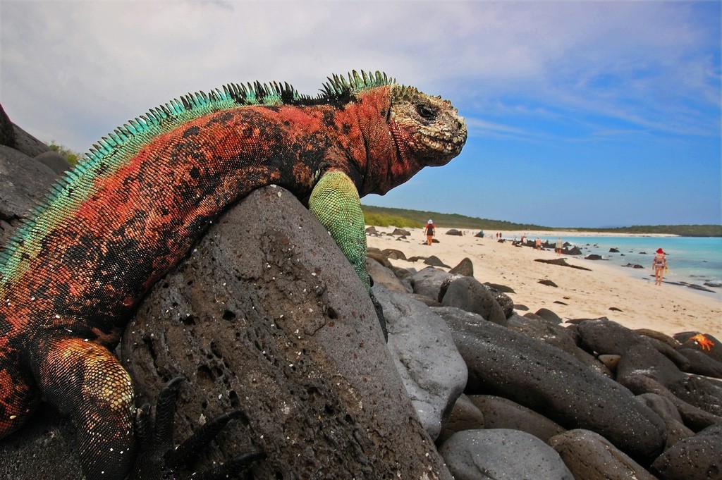 galapagos islands